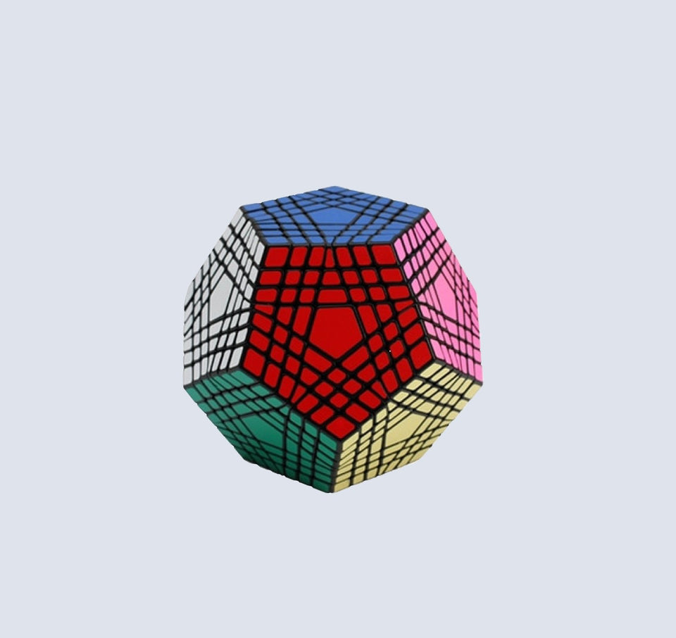 Teraminx Shengshou Magic Cubes - The Cube Shop
